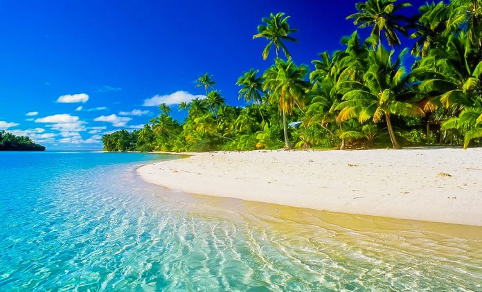 Caraibe-Tobago-Cays4