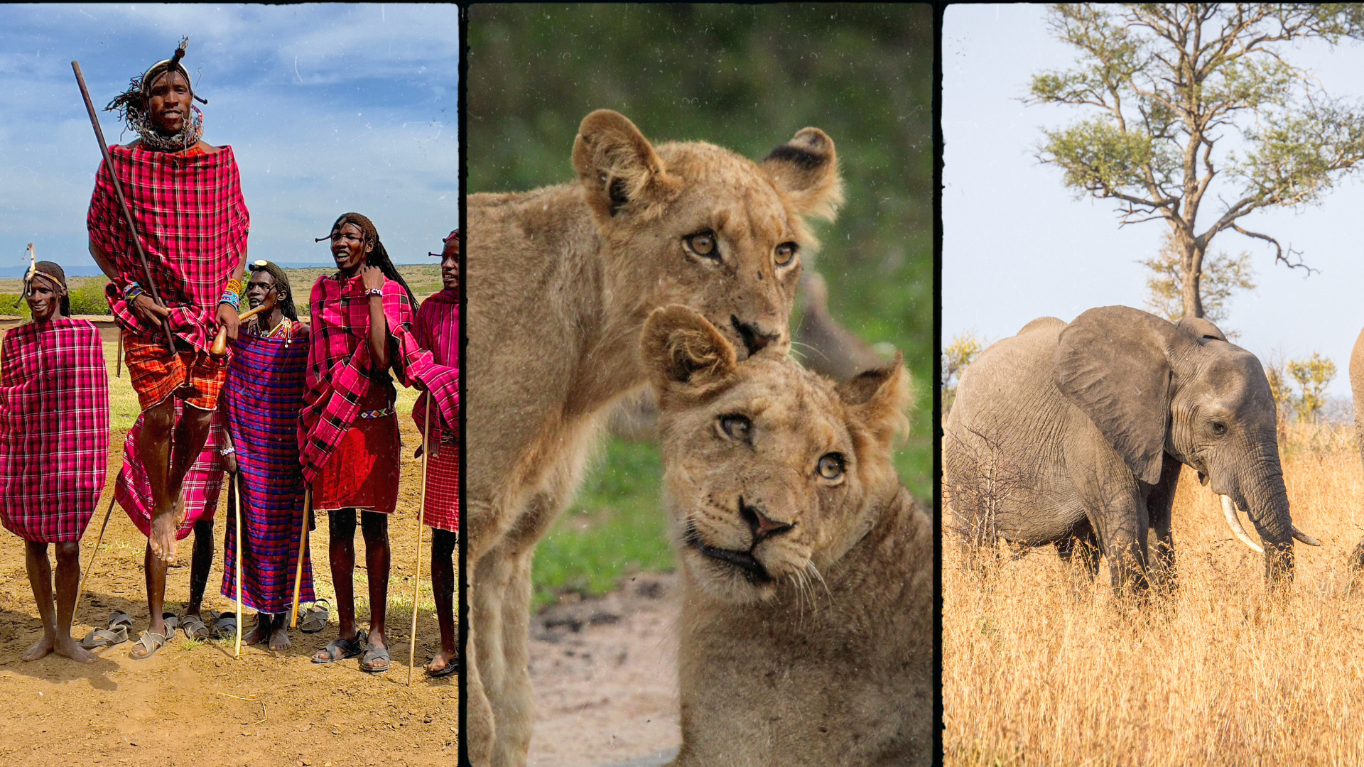 ZIUA 4 (11 oct 2026): Safari în Masai Mara