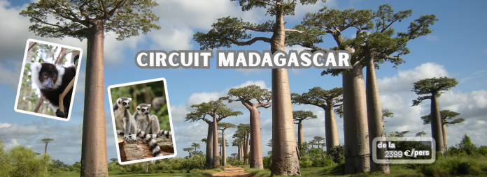 Madagascar